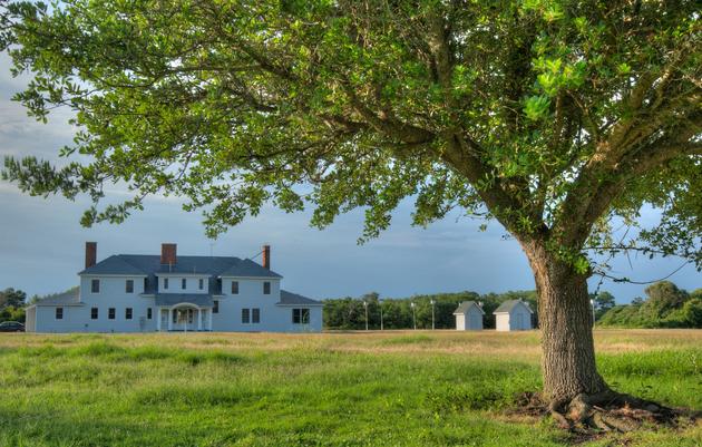 History of Pine Island