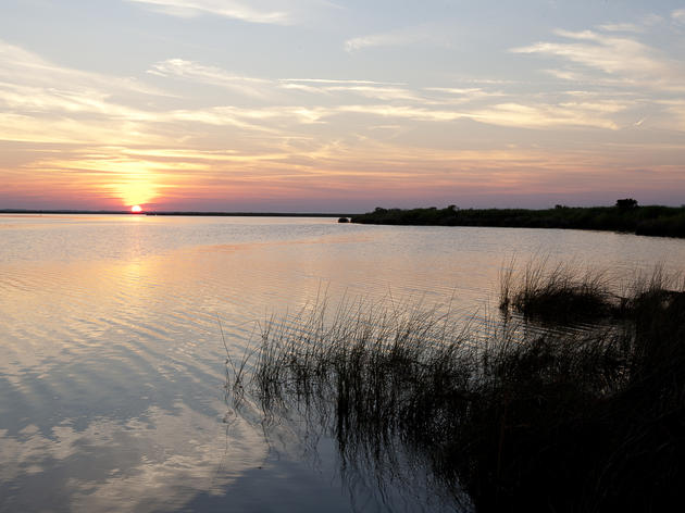 Conserving Currituck Sound for Future Generations